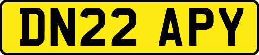 DN22APY