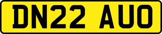 DN22AUO