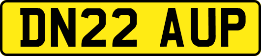 DN22AUP