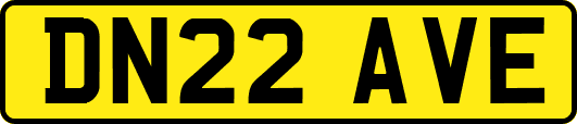 DN22AVE