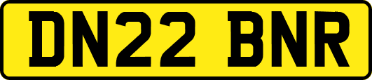 DN22BNR