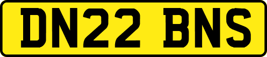 DN22BNS