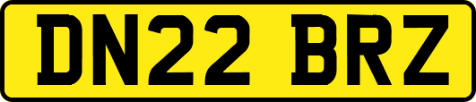 DN22BRZ