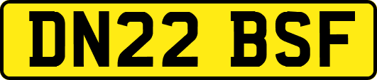 DN22BSF