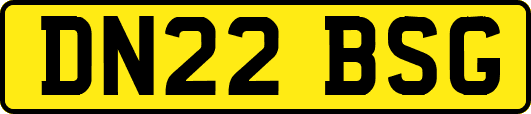 DN22BSG