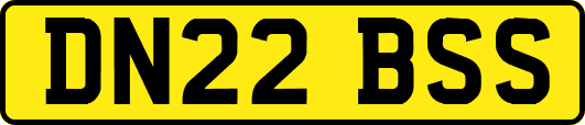 DN22BSS