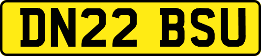 DN22BSU