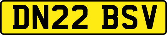 DN22BSV