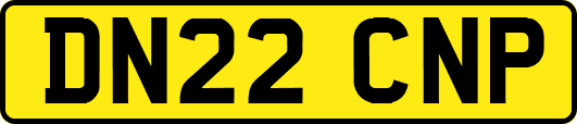 DN22CNP