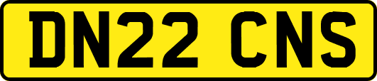 DN22CNS