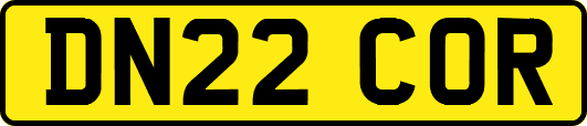 DN22COR
