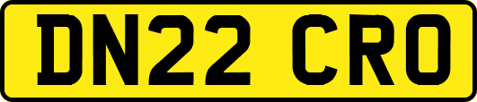 DN22CRO