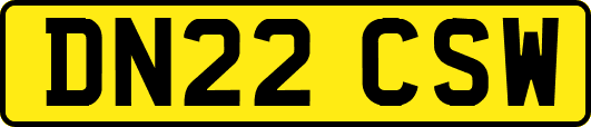 DN22CSW