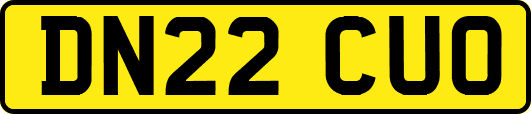 DN22CUO