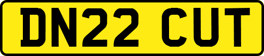 DN22CUT