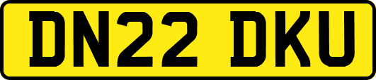 DN22DKU