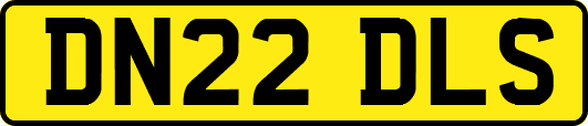 DN22DLS