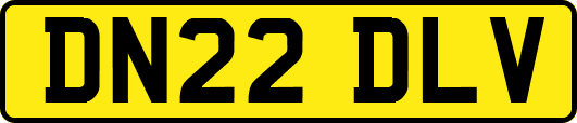 DN22DLV