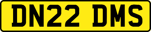 DN22DMS