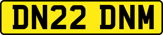 DN22DNM