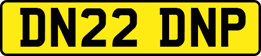 DN22DNP
