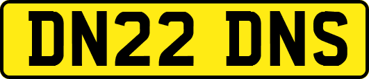 DN22DNS