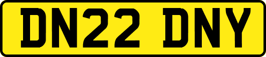 DN22DNY