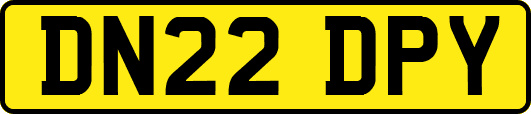 DN22DPY
