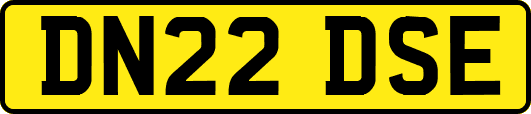 DN22DSE