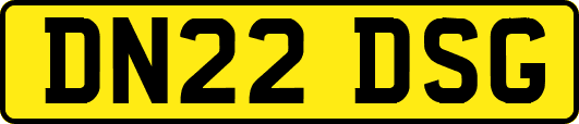 DN22DSG