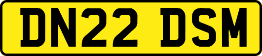 DN22DSM