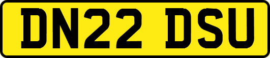 DN22DSU