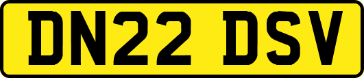 DN22DSV