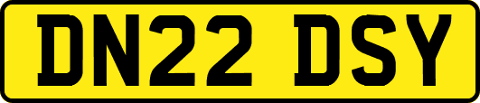DN22DSY