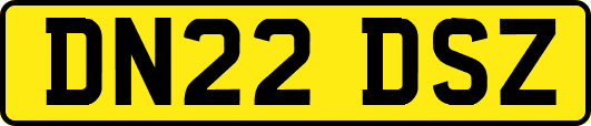DN22DSZ