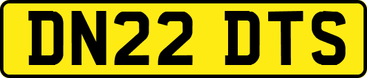 DN22DTS