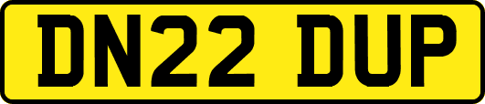 DN22DUP