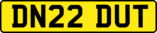 DN22DUT