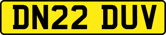 DN22DUV