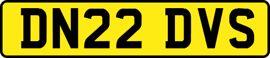 DN22DVS
