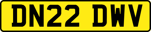 DN22DWV