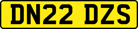 DN22DZS