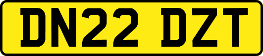 DN22DZT
