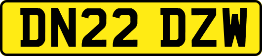 DN22DZW