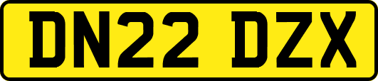 DN22DZX