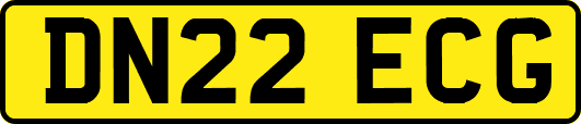 DN22ECG
