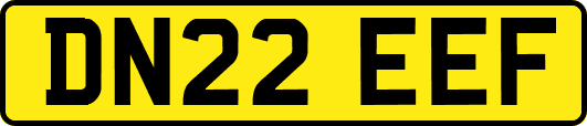 DN22EEF