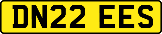 DN22EES
