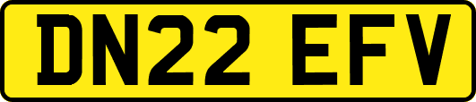 DN22EFV