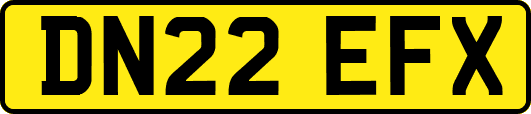 DN22EFX